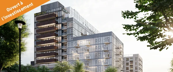 real estate development joint ventures